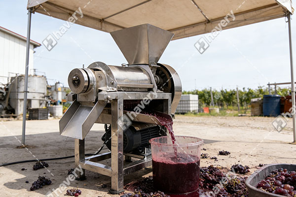 How To Make Grape Juice In Factory?