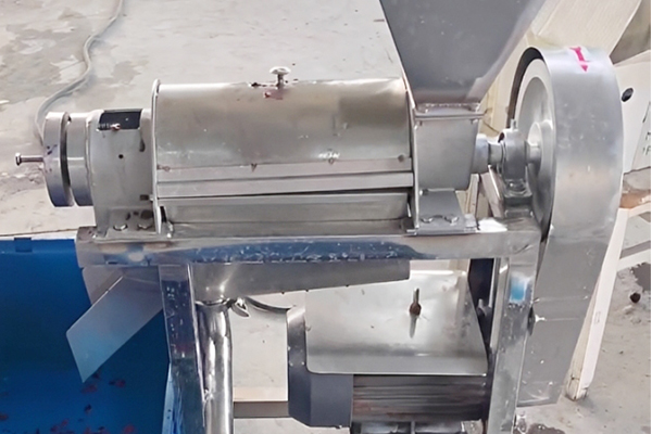 Grape Juice Machine Cost