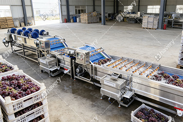 grape washing machine