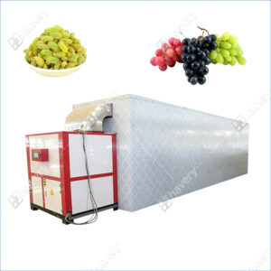 grape drying machine
