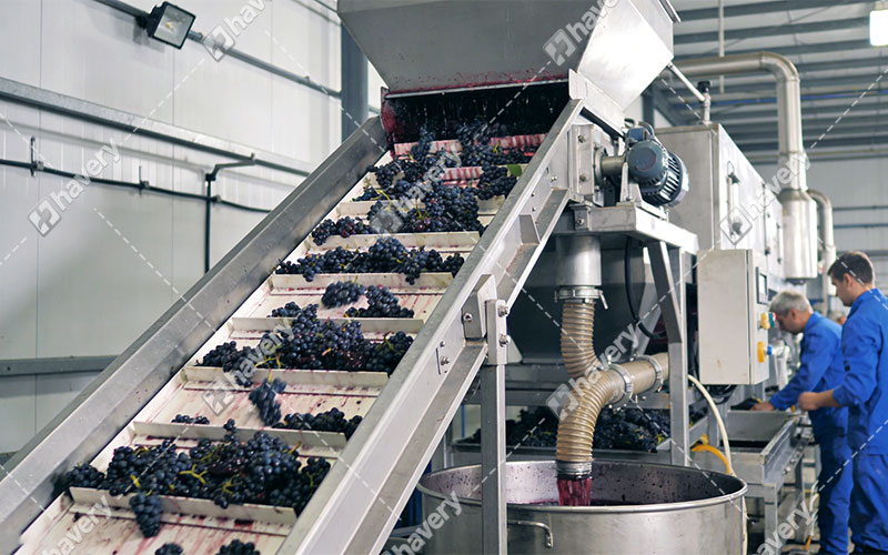 grape juice production line