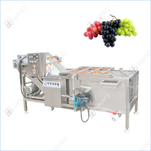 grape washing machine